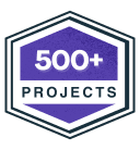 500+ projects Delivered
