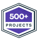 500+ projects Delivered